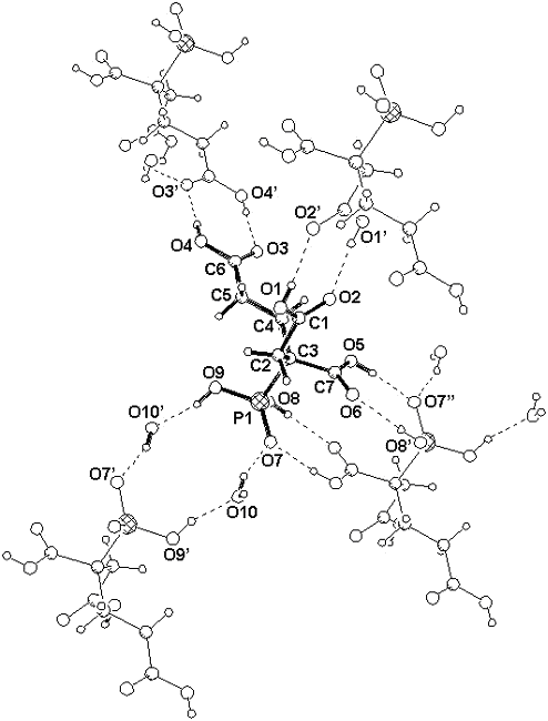 Structure of 2-Phosphonobutane-1,2,4-Tricarboxylic Acid