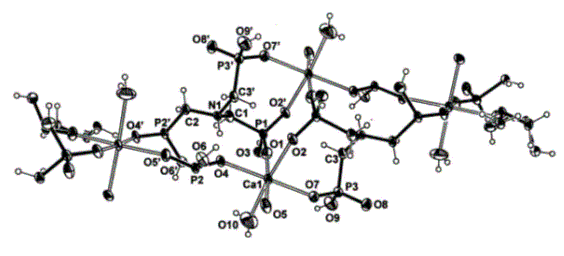 Polymeric Ca-AMP Structure