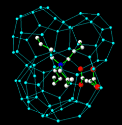 Home Page Image